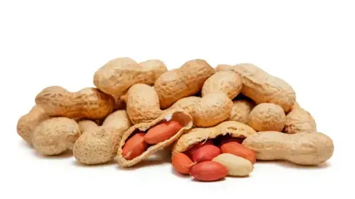 നിലക്കടല ഉപഭോഗവും കരൾ ആരോഗ്യവും